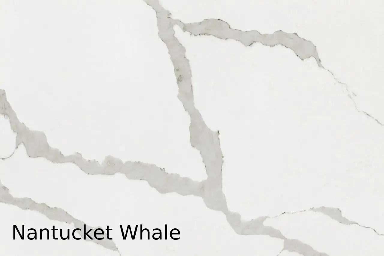 Nantucket Whale